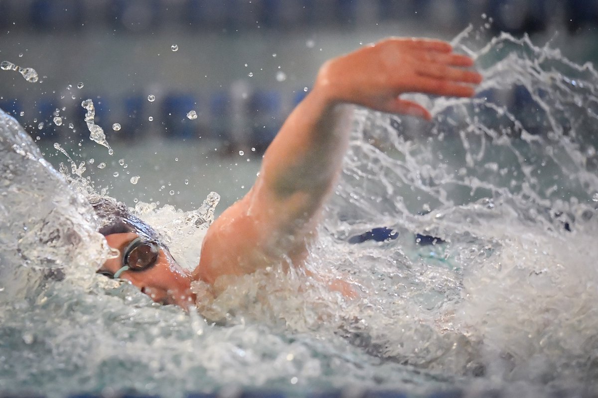City swimmers/divers turn in big day in <a href="/TopekaWestAthle/">TopekaWestAthletics</a> Invitational. <a href="/gabbygr42582943/">gabby grace</a>, Avery Walz, <a href="/JeffriesKadence/">Kadence Jeffries</a> post two individual wins, Grace, Walz win four gold medals. From <a href="/TopsportsN/">TopSports.news</a> contributor <a href="/isaackdeer/">Isaac Deer</a> ...
topsports.news/1937-jeffries-…