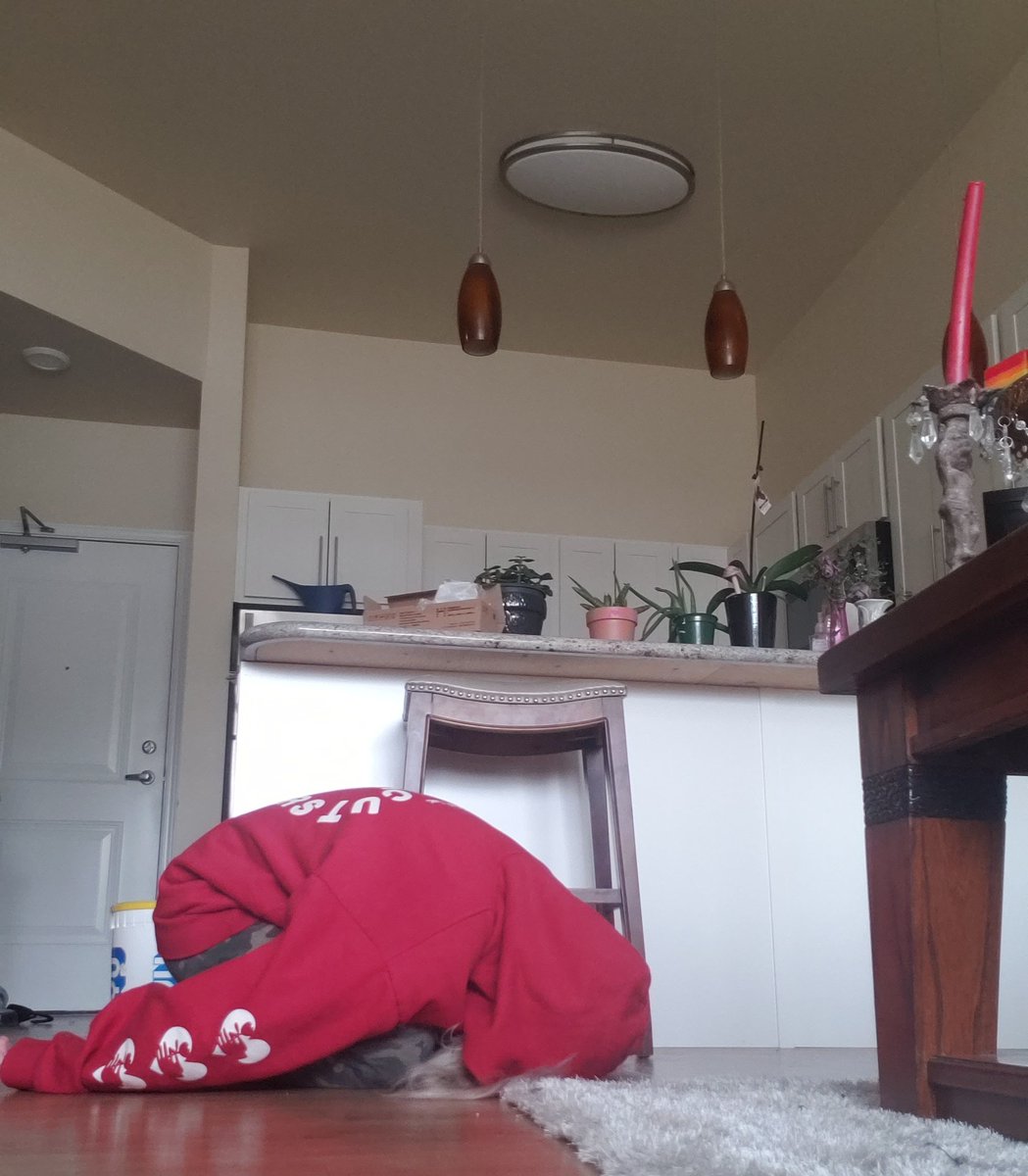 the_cowboylane's tweet image. Executive dysfunction is having 4 tasks u desperately need to complete but instead sitting like this for 2 straight hours and doing none of them