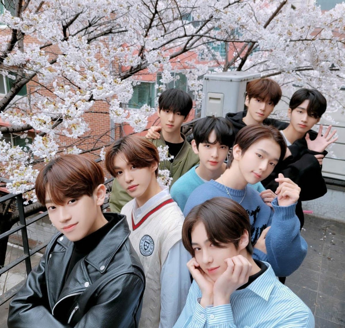 EPEXClX's tweet image. 2021🌸                              2022🌸

#EPEX #이펙스
#CIX #씨아이엑스