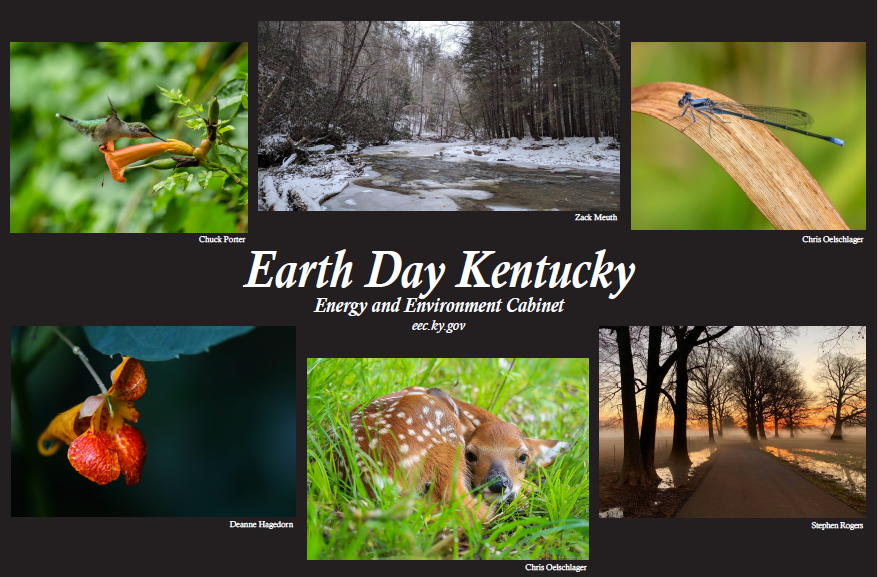 KentuckyEEC's tweet photo. Check out our #EarthDay poster, highlighting the talented #TeamEEC winners of our latest photo contest. Share your photos or tag us so we can share. How does Mother Nature speak to you? Amazon gift cards up for grabs! #checkoutmyphoto #earthdayeveryday #EarthDay2022 https://t.co/WWzsfCg0mU
