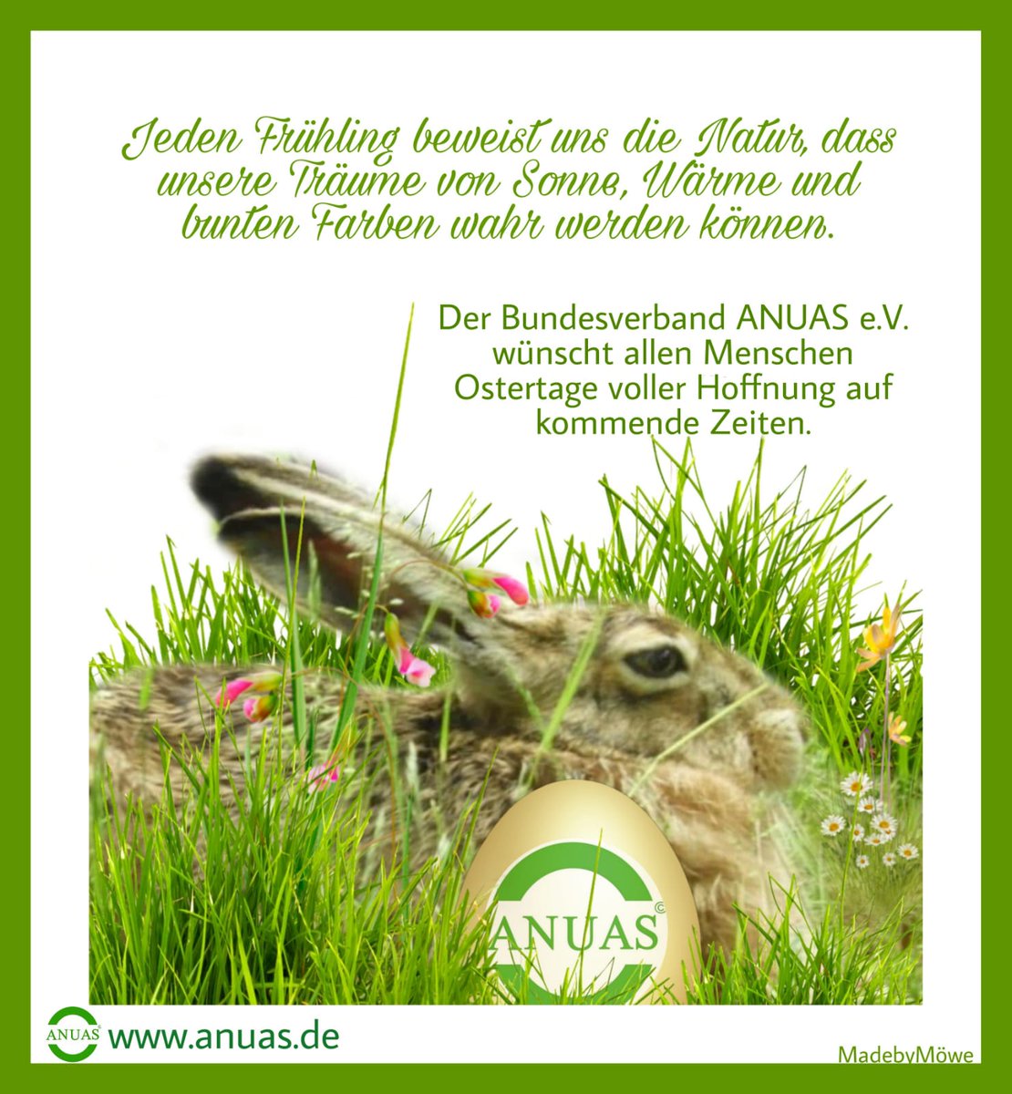 ANUAS_eV's tweet photo. https://t.co/Innvesmkd5