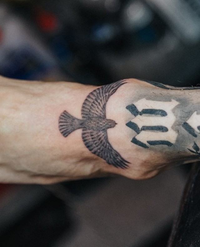 Fine line falcon tattoo located on the forearm