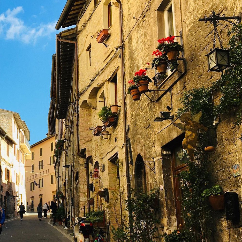 ”The real voyage of discovery consists not in seeking new landscapes, but in having new eyes.” ~ Marcel Proust
📸: [IG] debrainsighttd in #Assisi, #Italy.