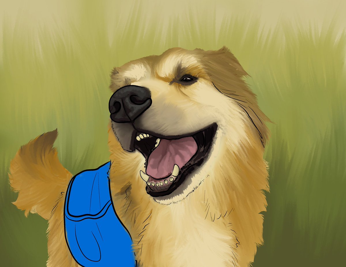 Dubers151's tweet photo. @JeremyNDooley I’m currently using my commissions to fundraise for a service dog 🐕‍🦺💕 https://t.co/VzRAiGn7sA