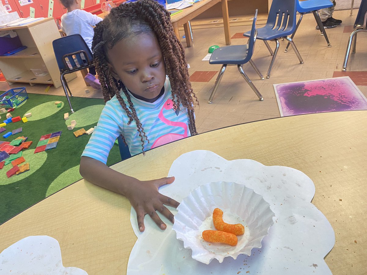 hszellner1's tweet photo. Experimenting as we learn about bees and pollen with our Cheetos and flowers! We could really see how the pollen spreads! #esc9headstart #iamwfisd @BookerTWashElem https://t.co/6WcBvIrnPs