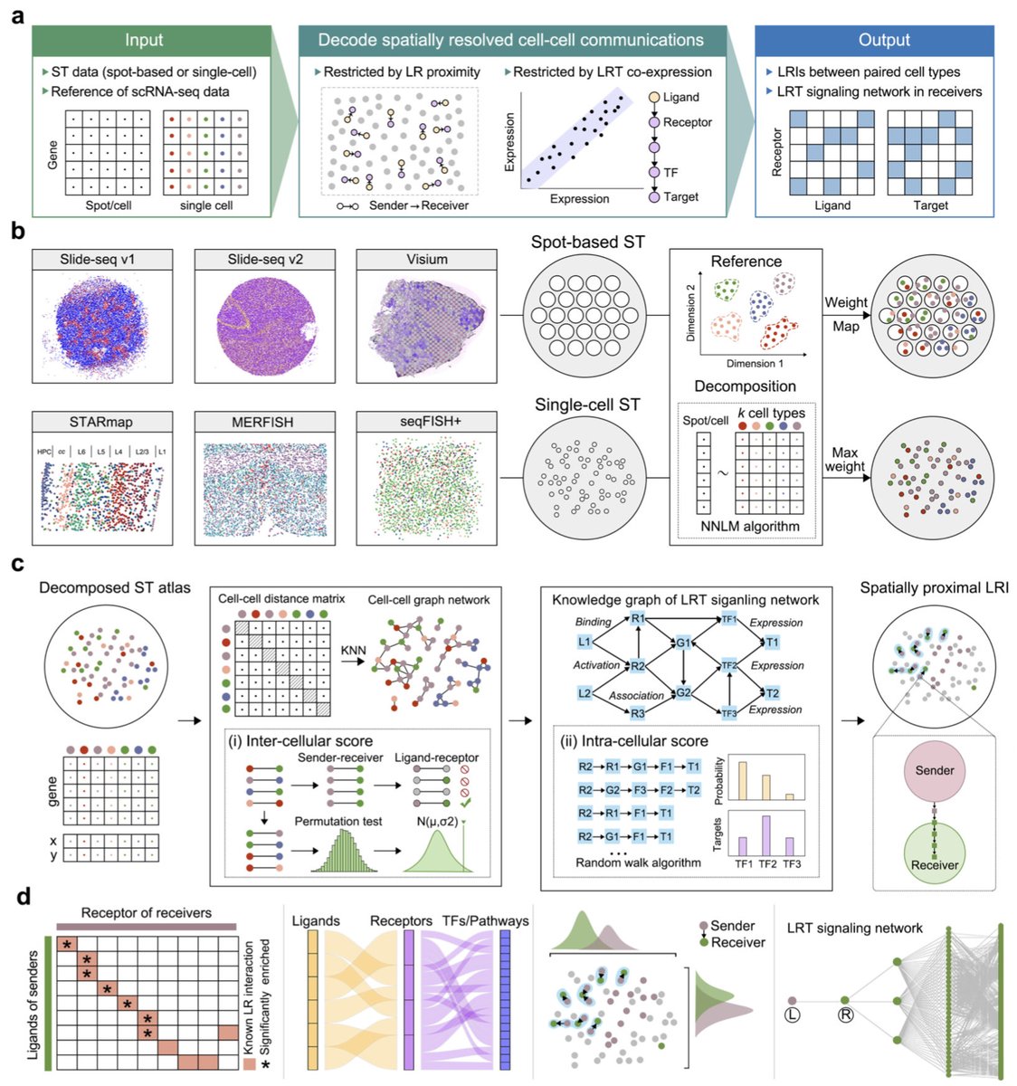 razoralign's tweet photo. SpaTalk: Knowledge-graph-based cell-cell communication inference for spatially resolved transcriptomic data https://t.co/SgWWsZtl9T https://t.co/YyGkYSCVHf
