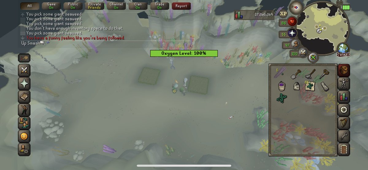 Modavga's tweet photo. Decided to do a seaweed run on break at work on Mobile. Always do you seaweed runs folks #osrs #tangleroot #pet @behemeth_larzzz #runescape https://t.co/LTGGGIvKuW