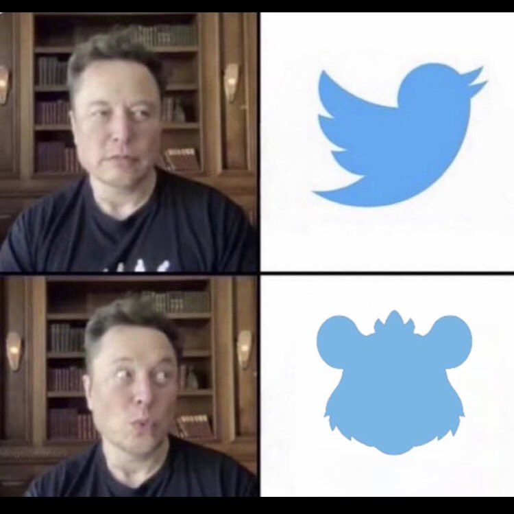 CoinTraderXxX's tweet photo. @elonmusk @_hamster_coin 
You think Elon’s Change the name from TWITTER to HAMSTER ? 🐹 https://t.co/SYpABRJqEp