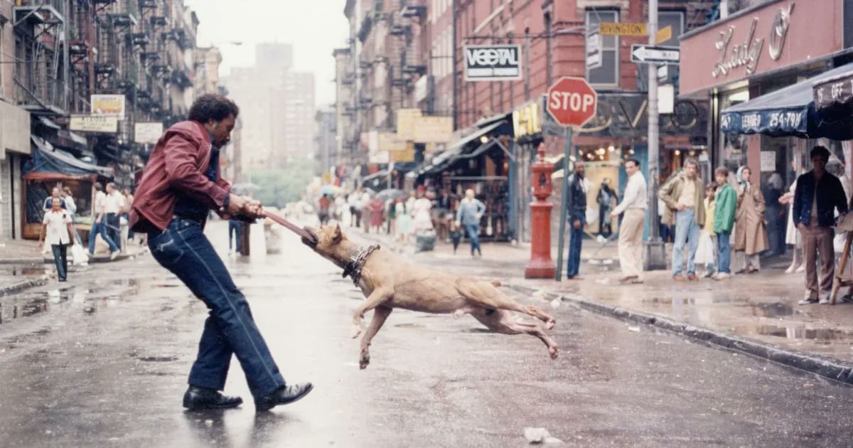 terrinakamura's tweet image. In 'Eyes on the Street,' Photographer Jamel Shabazz Identifies the Boundless Culture of New York City's Outer Boroughs bit.ly/3vcb0z2 #streetphotography #NYC #outerboroughs