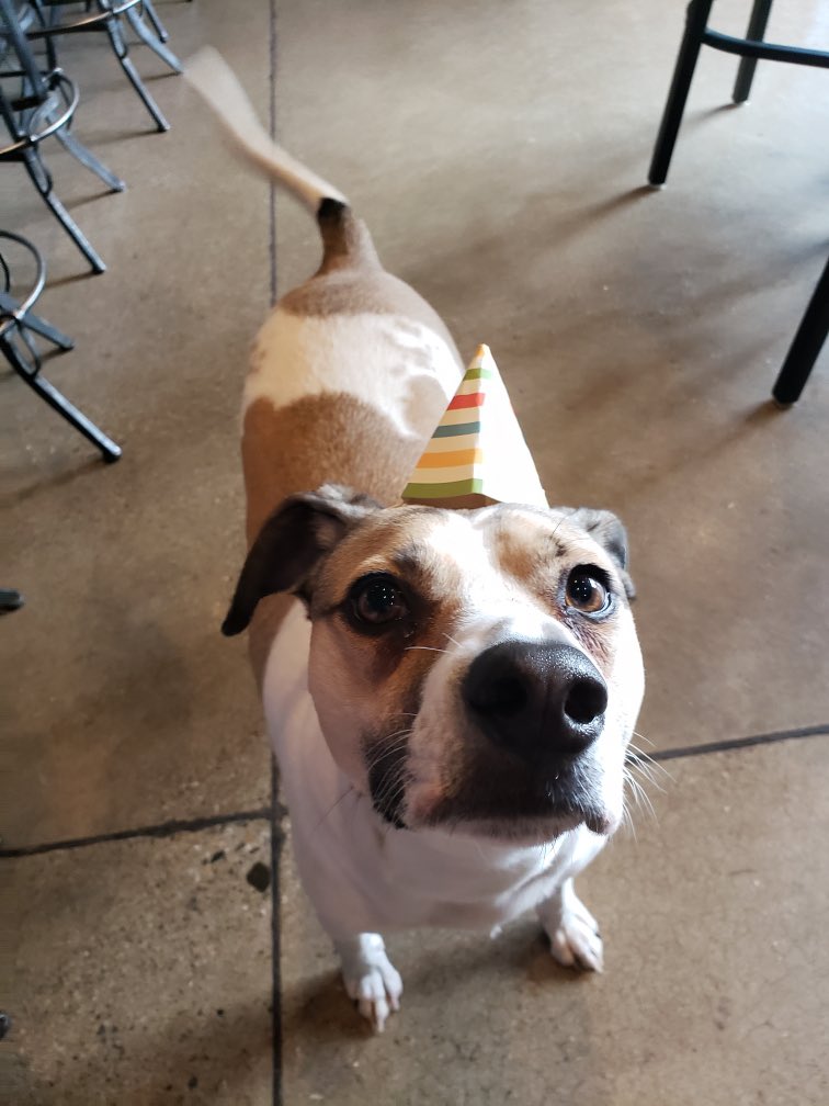 BoyoBrand's tweet photo. Taco Boyo ready to Party! https://t.co/NXdYgL2SFK