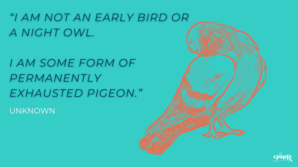 cpapRX's tweet photo. Feeling like sleep is for the birds and you'll never get that proper rest you're aching for?

Get your wings ready to fly into dreamland with the only disposable at-home #sleeptest on the market, the #WatchPATOne: https://t.co/GUCUO5GxNp

#tiredofbeingtired #sleepquote https://t.co/9S3oDStF3M