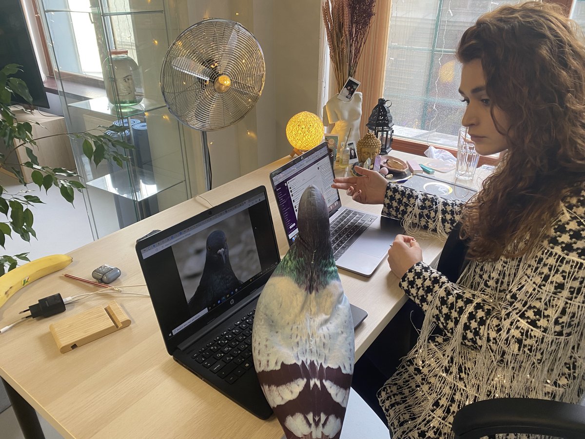 DonutPunks's tweet photo. That #awkward moment when nobody brings some bird feed to the business #meeting. ππ
#DonutLab #DonutLabInc #KidsvsZombies #OfficeVibes #Pigeon #TypicalMeeting https://t.co/lxQlFzr9ER