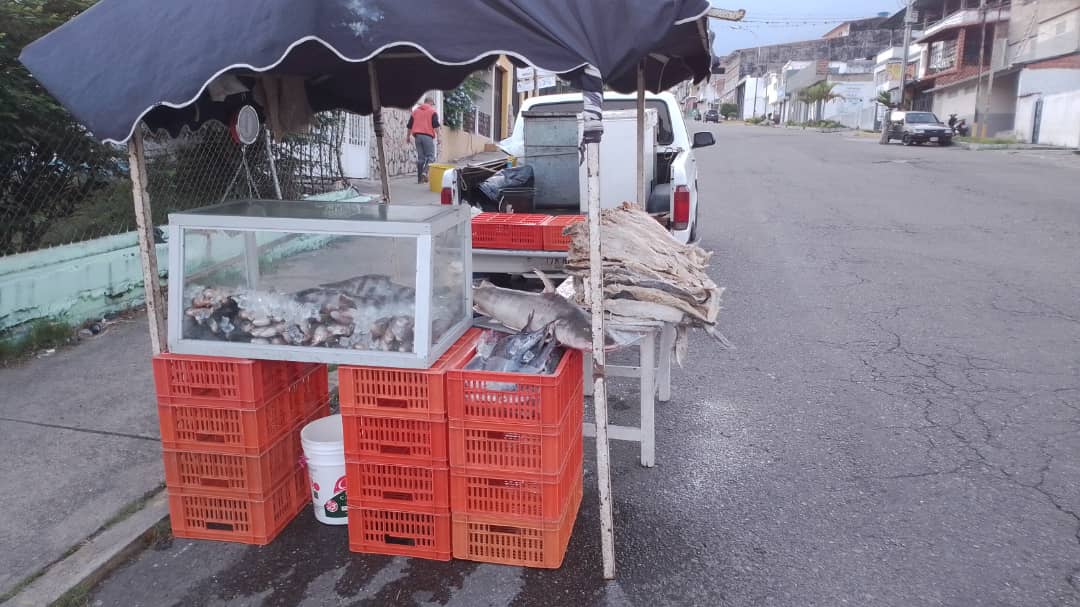 Insopescatach's tweet photo. Se activaron en los 29 municipios del estado distintos puntos de distribución de producto hidrobiológico
Acción conjunta Insopesca Táchira y la Gobernación del Táchira para cumplir con el lineamiento de nuestra Ministra de pesca y acuicultura @OlgaLuisaF #LlegoElPescadoNets https://t.co/PgecgGA1eV