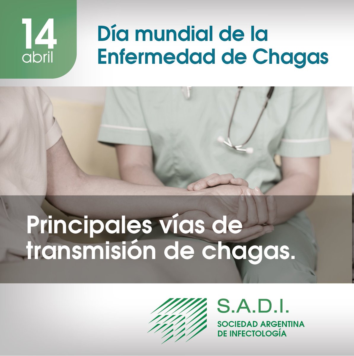 Sociedad Argentina Infectología tweet media