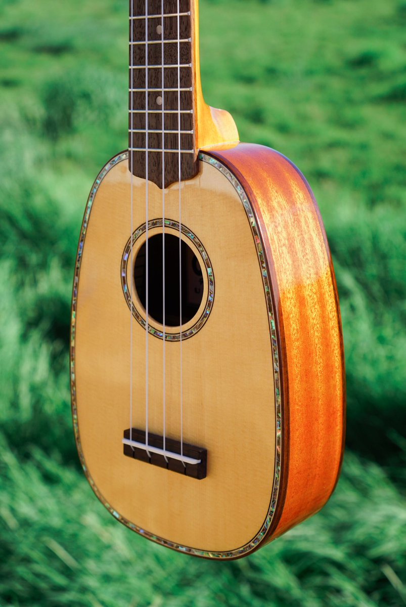 Went to a field next to my house and photographed these ukes. I love how the green looks behind them 💚💚