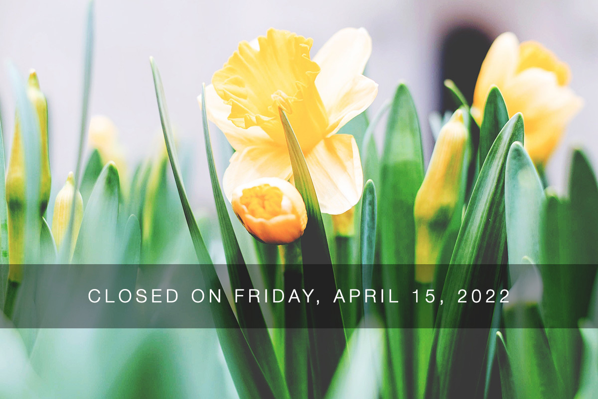 Our office will be closed on Friday, April 15, 2022. Stay safe out there and let's wish for some actual Spring weather sooner than later!