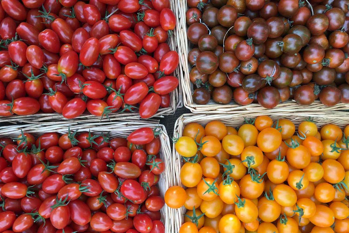 Victoria Park Market is looking forward to its five-year anniversary this June! 🍅🍋🥕
We’ve compiled a list of our favourite stalls to help you make those difficult decisions and enjoy Sunday market strolls this summer. 
romanroadlondon.com/victoria-park-…