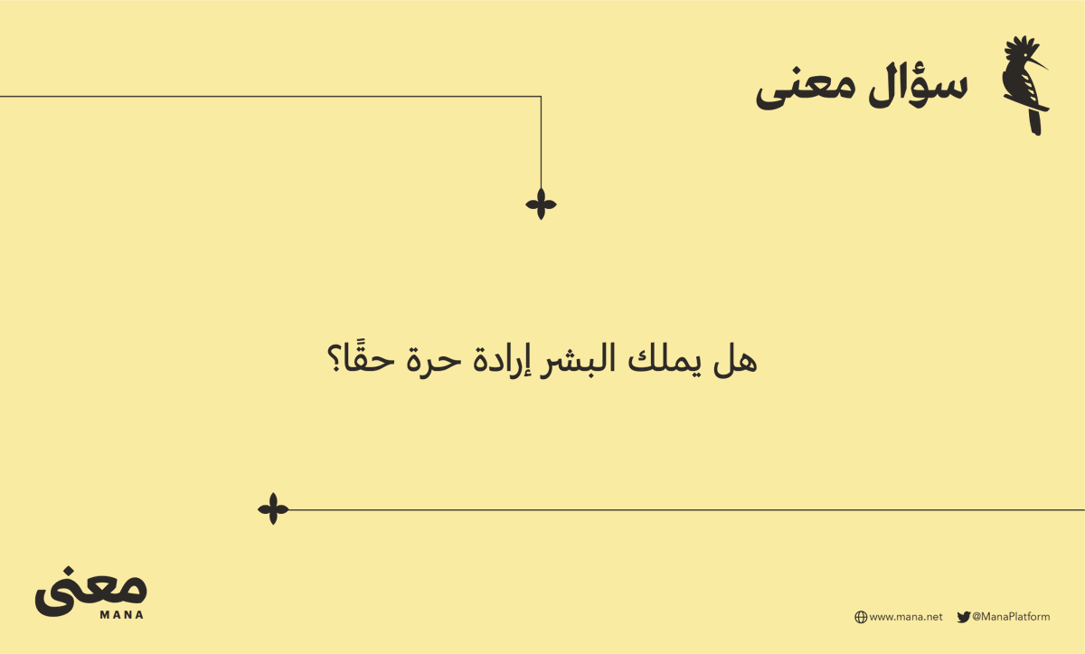 معنى🪽 tweet media