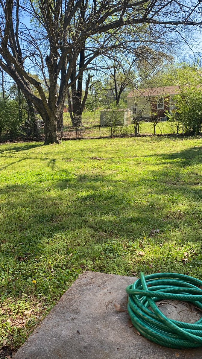 BrittClemonsTV's tweet photo. Update: All the water is gone! @ABC24Memphis https://t.co/I0uUtuwrsn