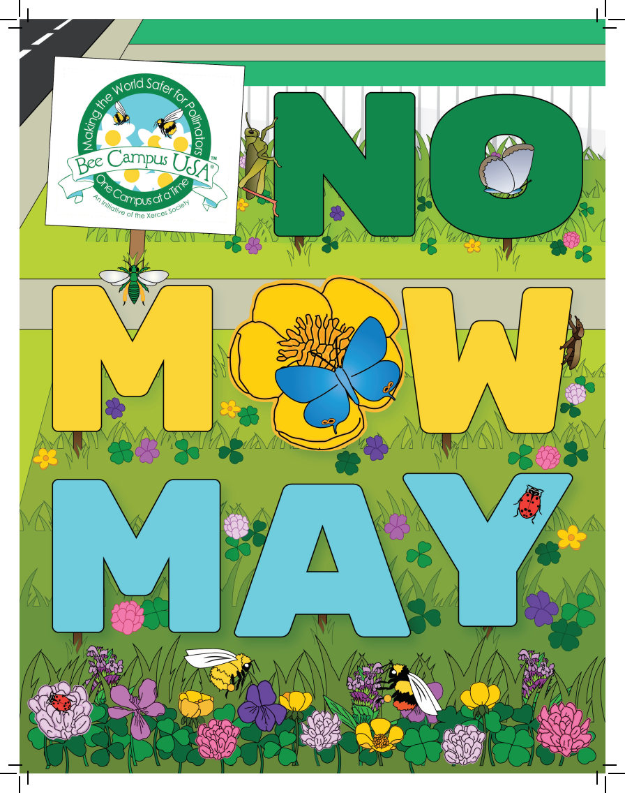 The City of Greenfield is participating in No Mow May!  Help pollinators by registering your lawn and storing your mower during the month of May!
ci.greenfield.wi.us/865/Pollinator…