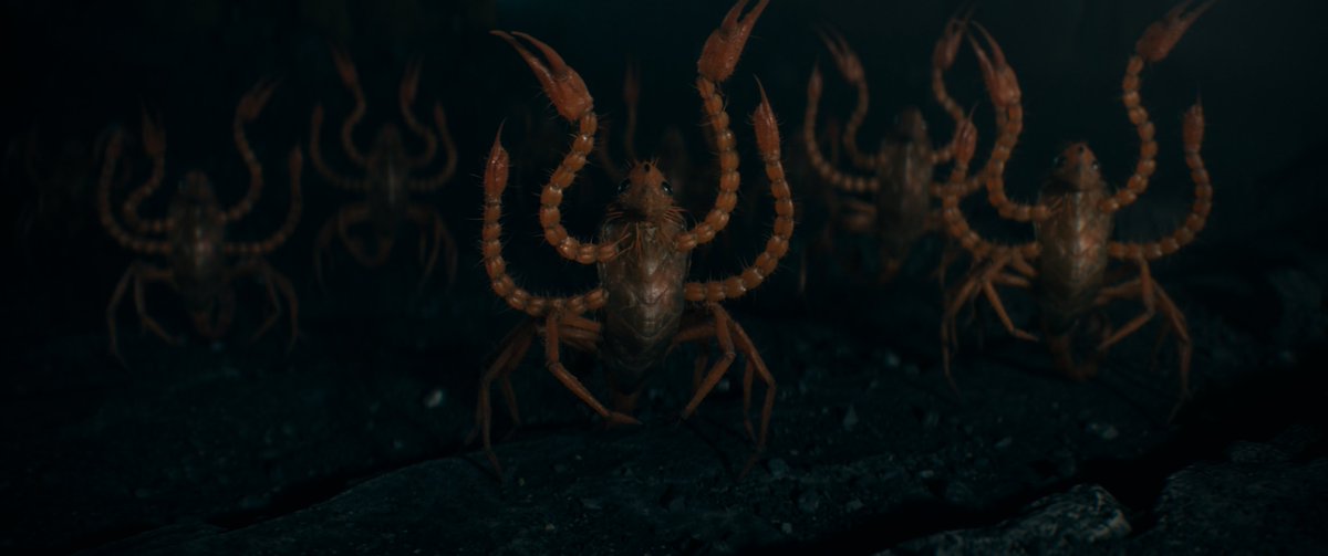 Fantastic Beasts UK tweet media