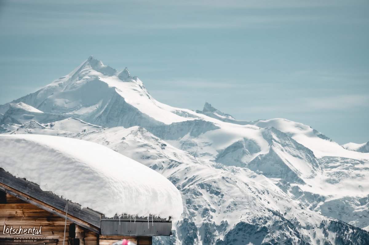 Lötschental tweet media