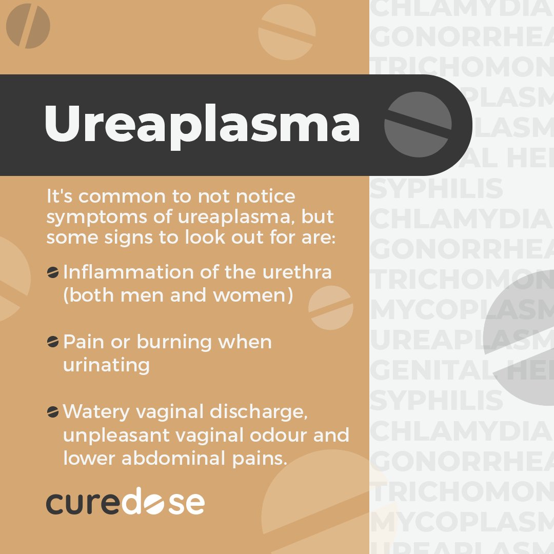 Curedose_com's tweet photo. 👇 Read the infographic to learn more about #Ureaplasma Symptoms and follow us for more STI resources!

#STDeducation #STIAwareness #STIPrevention #STD #STIAwarenessMonth #stdtreatment #STDEducation   
#Ureaplasma #healthcare #talktesttreat https://t.co/xIN9yFLraC