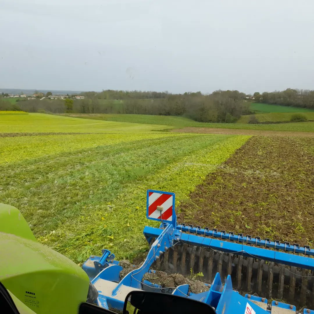 orlia333's tweet image. Quand tu détruis le couvert végétal pour enrichir le sol en matière organique avant les prochains semis 🚜💨
#bprea #agriculture #couvertvegetal