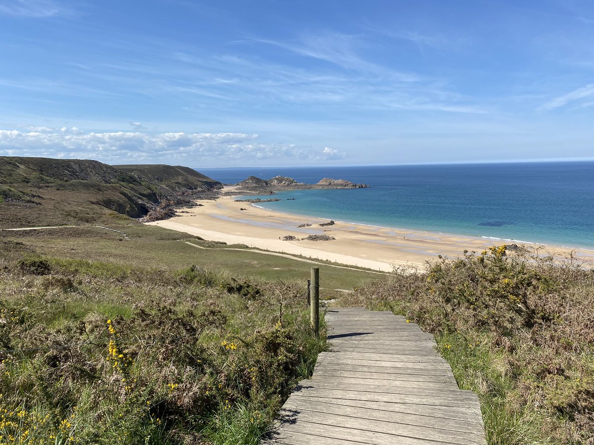 Portrait Jean Louis tweet media