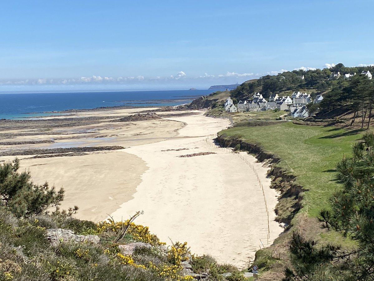 Portrait Jean Louis tweet media