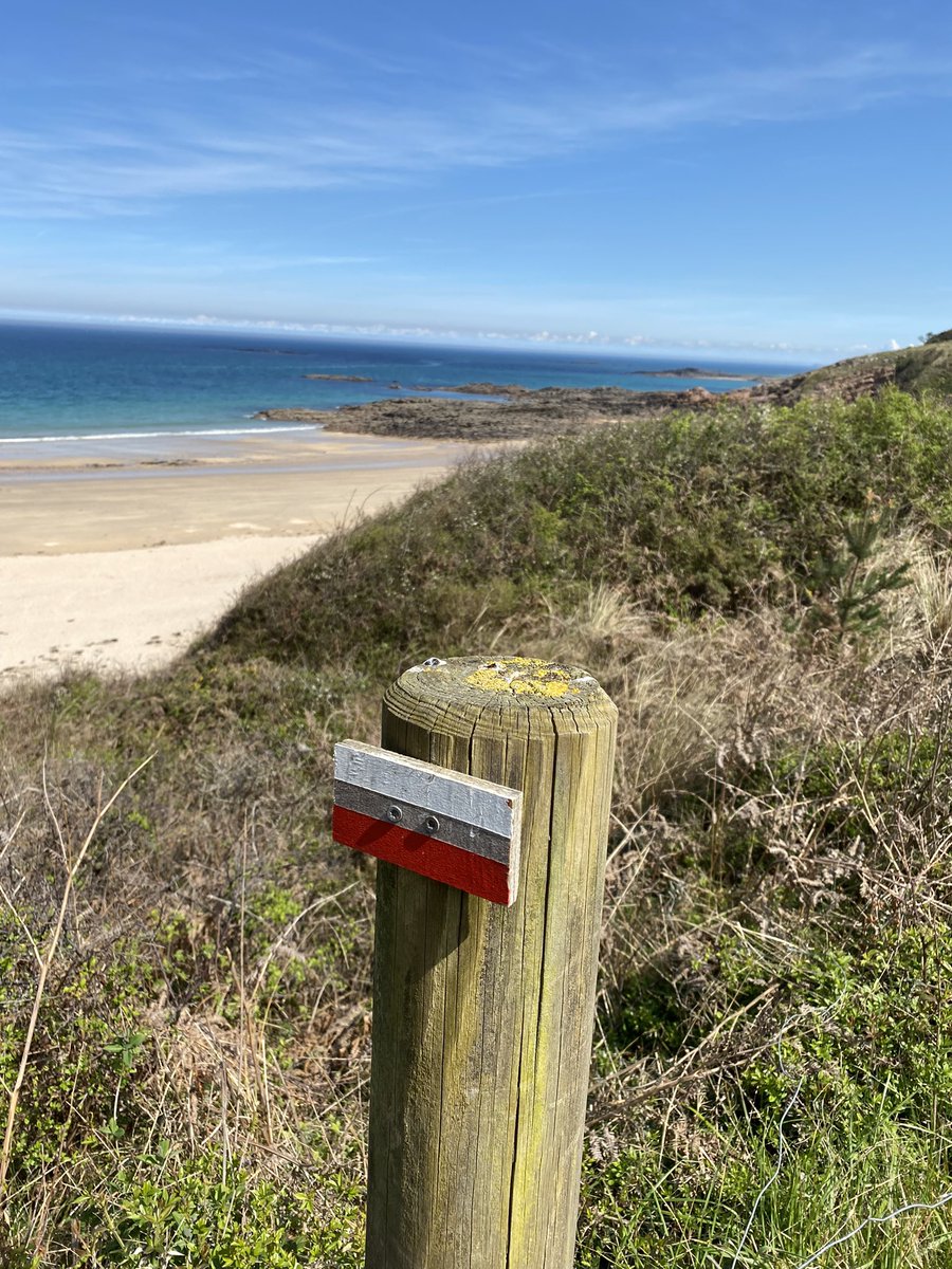 Portrait Jean Louis tweet media