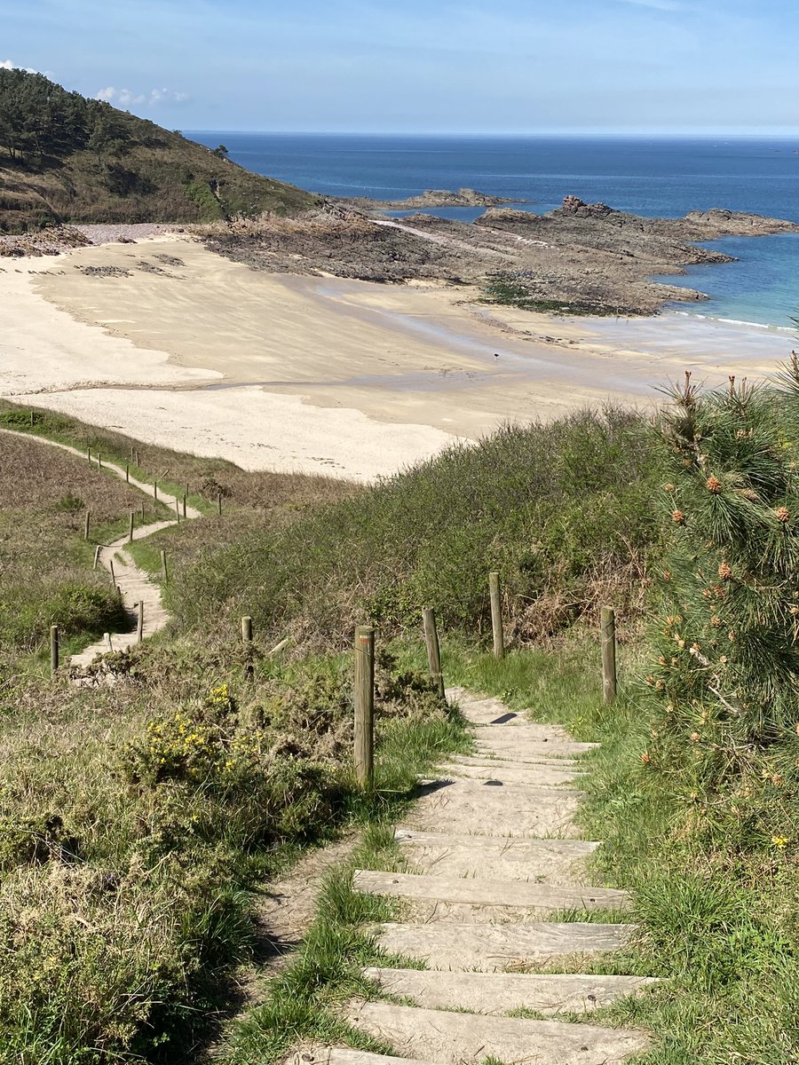 Portrait Jean Louis tweet media