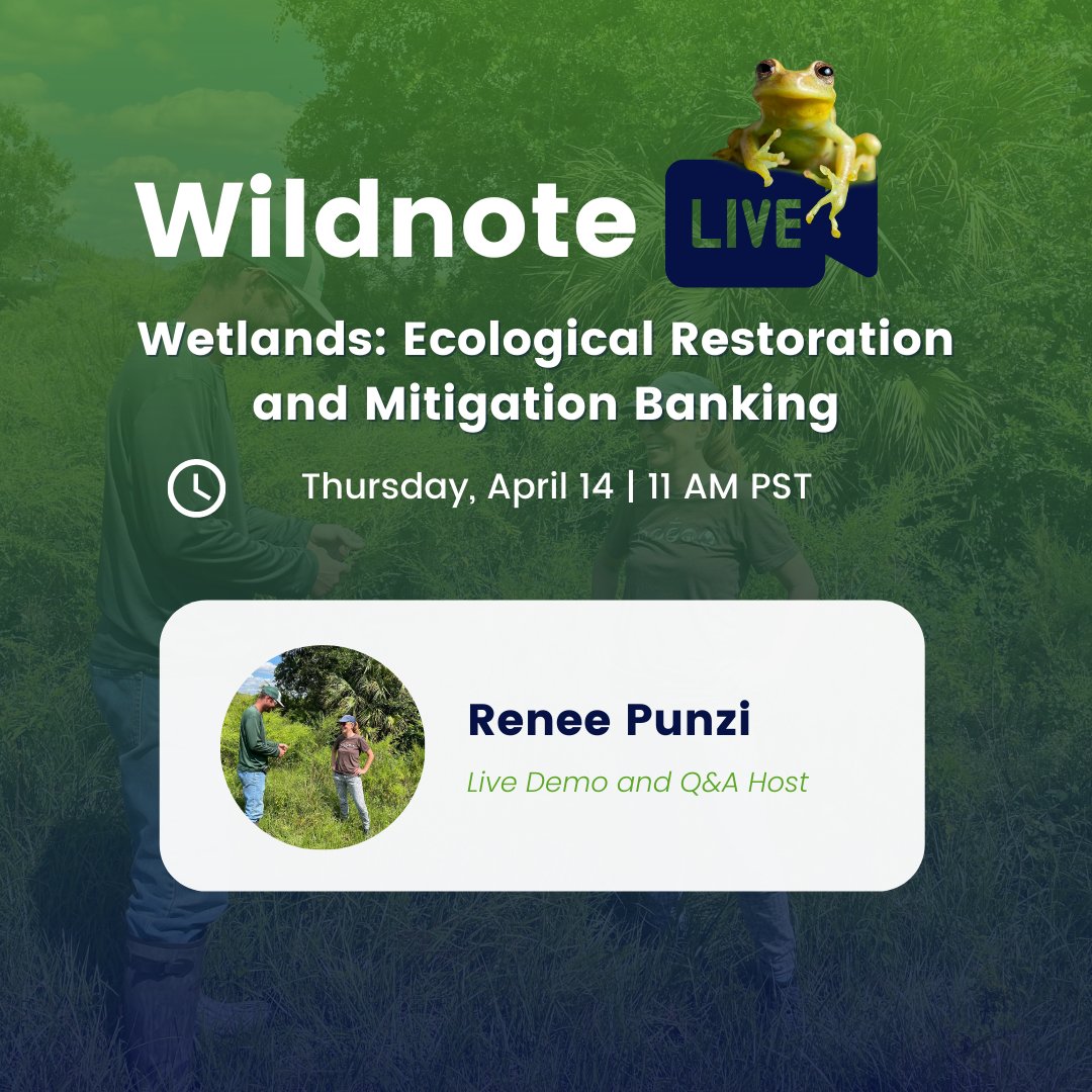 Wildnote tweet media