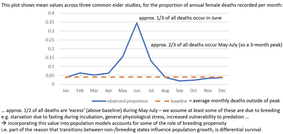 4 #BOU2022 #Sesh6 We previously found a strong influence of breeding propensity on population growth (in prep.), but precise estimates become less important when also quantifying the survival cost of breeding – by estimating excess mortality incurred during the breeding season