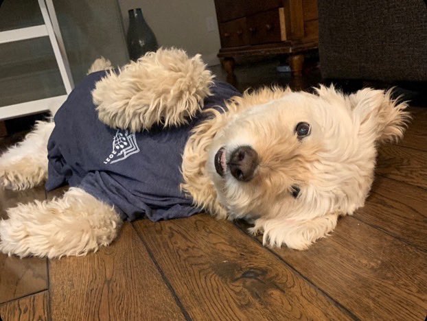 MyPeakChallenge's tweet photo. #PeakerPets cannot get any cuter
than this! 🐾

#MPC #MPC2022
#MyPeakChallenge
#SamHeughan https://t.co/DexUGd5yMY