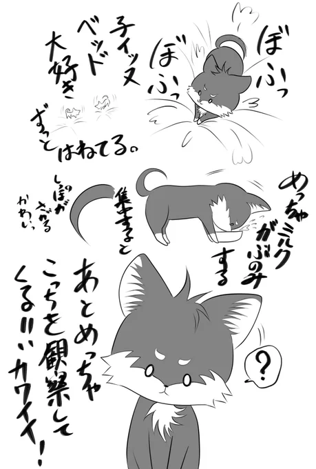 ずっとかわいい言ってる 