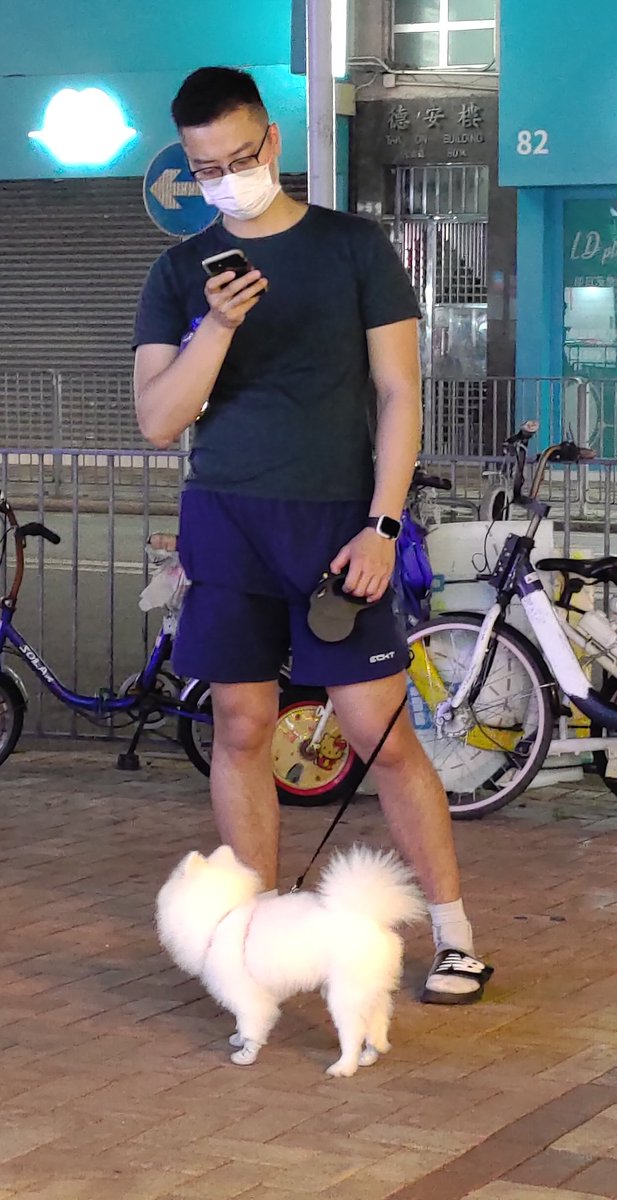 sharewithu's tweet photo. 狗仔真可愛🐩
我真係純粹影狗仔咋🙈 https://t.co/dtQhEWP5aM