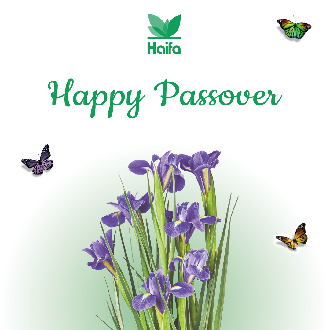 To all our friends &amp; customers around the world
We want to wish you and your loved ones
Happy Passover 🌺
haifa-group.com