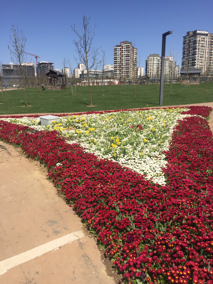 ercandagli22's tweet photo. @Basaksehir_Bld Göstermiş olduğunuz hassasiyet için teşekkür eder işlerinizde kolaylıklar dilerim. https://t.co/h70prDQivJ