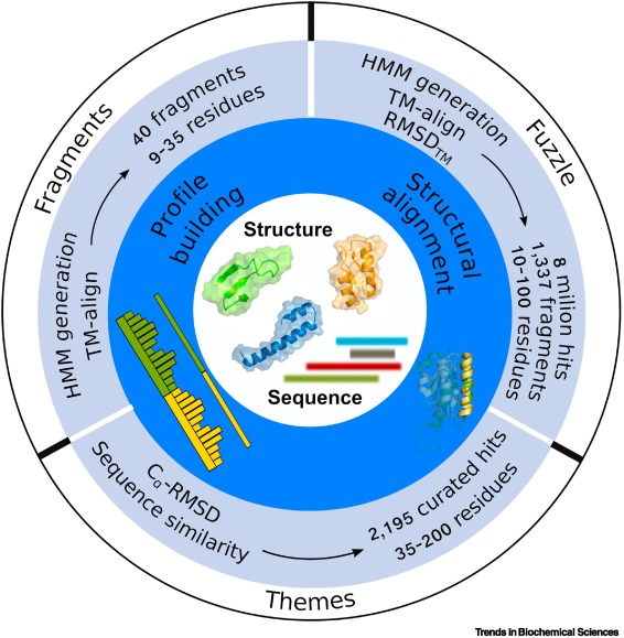 TrendsBiochem's tweet photo. Read the Review "Exploiting enzyme evolution for computational protein design" by @GasparRPPP @CorbellaMorato Andrey Demkiv @kamerlinlab in the Special Issue!
#structuralbioinformatics #ancestralsequencereconstruction #conformationaldynamics
https://t.co/wXAPfL8YZH https://t.co/W0QDwNeeVk