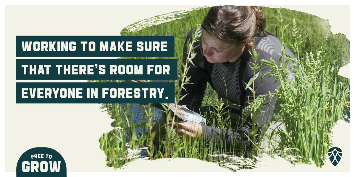 CIF-IFC (@cif_ifc) on Twitter photo Supporting inclusion and diversity is how the Canadian forest sector can thrive. Through Free to Grow in Forestry, we are working to move #ForestryForward. #DYK that this is an initiative co-led by the CIF-IFC? Be sure to give <a href="/FreeToGrow_/">Free to Grow in Forestry</a> a follow to stay up-to-date! Supporting inclusion and diversity is how the Canadian forest sector can thrive. Through Free to Grow in Forestry, we are working to move #ForestryForward. #DYK that this is an initiative co-led by the CIF-IFC? Be sure to give <a href="/FreeToGrow_/">Free to Grow in Forestry</a> a follow to stay up-to-date!