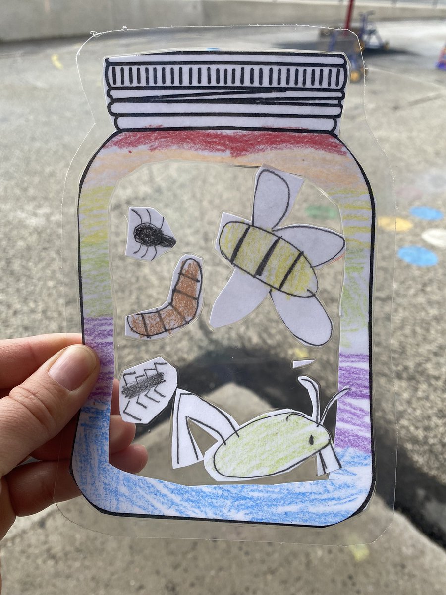 MrsSMoniz's tweet photo. We caught some bugs in Kindergarten today 🐛 🐜 🐞 @StonehavenES https://t.co/ZLNMoTleUO