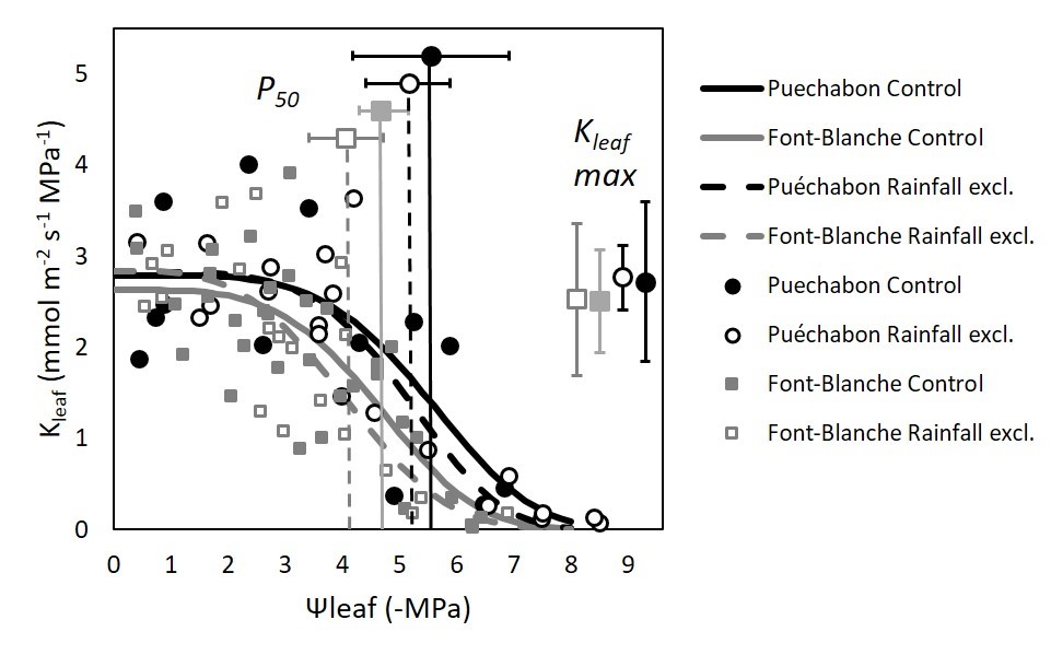 José M. Torres-Ruiz (@torresruizjm) on Twitter photo 📢Leaf plasticity helps Quercus ilex to tolerate moderate #drought but not severe water stress 🍃
Check our last 📰in <a href="/PlantCellEnvir/">Plant Cell & Environment</a> led by J.M. Limousin
👇👇onlinelibrary.wiley.com/doi/10.1111/pc… 📢Leaf plasticity helps Quercus ilex to tolerate moderate #drought but not severe water stress 🍃
Check our last 📰in <a href="/PlantCellEnvir/">Plant Cell & Environment</a> led by J.M. Limousin
👇👇onlinelibrary.wiley.com/doi/10.1111/pc…
