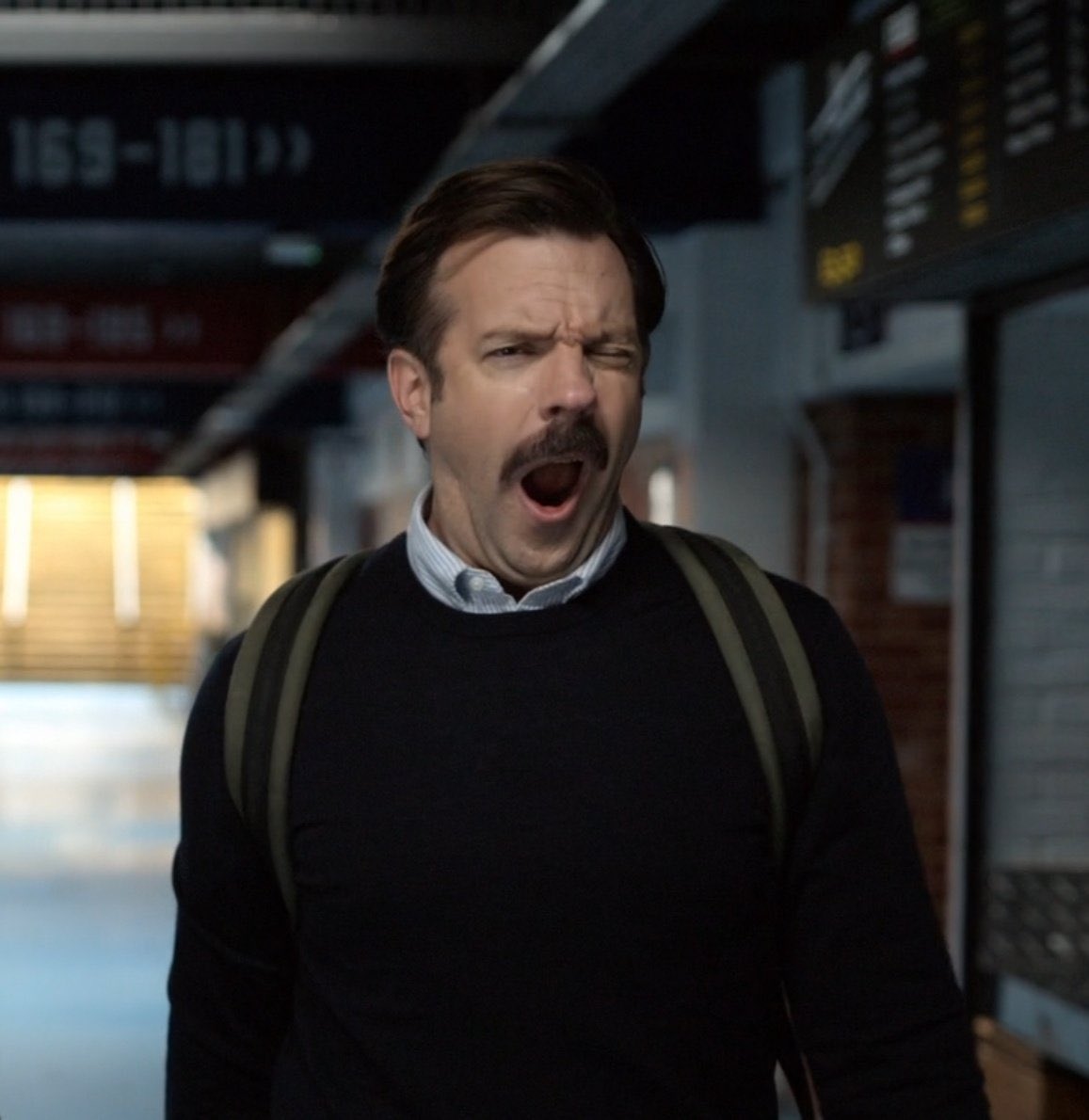 lassoleil's tweet photo. ted lasso as koalas: a cute thread 🐨 #TedLasso https://t.co/s2scabRv1p