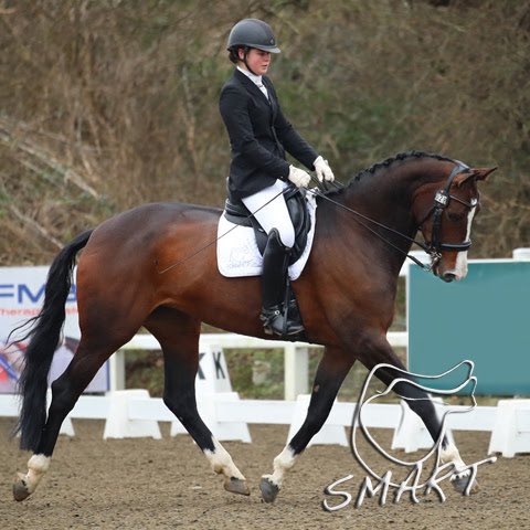 Read an introduction from SMART Ambassador, Dressage rider, Rafaella Bailey, 
“The SMART™ Elite Dressage Saddle is probably one of the most comfortable saddles I have ever sat in.”

 news.solutionsaddles.com/2022/04/smart-…

#smartsaddles #flexiblesaddle #dressage #horsecomfort