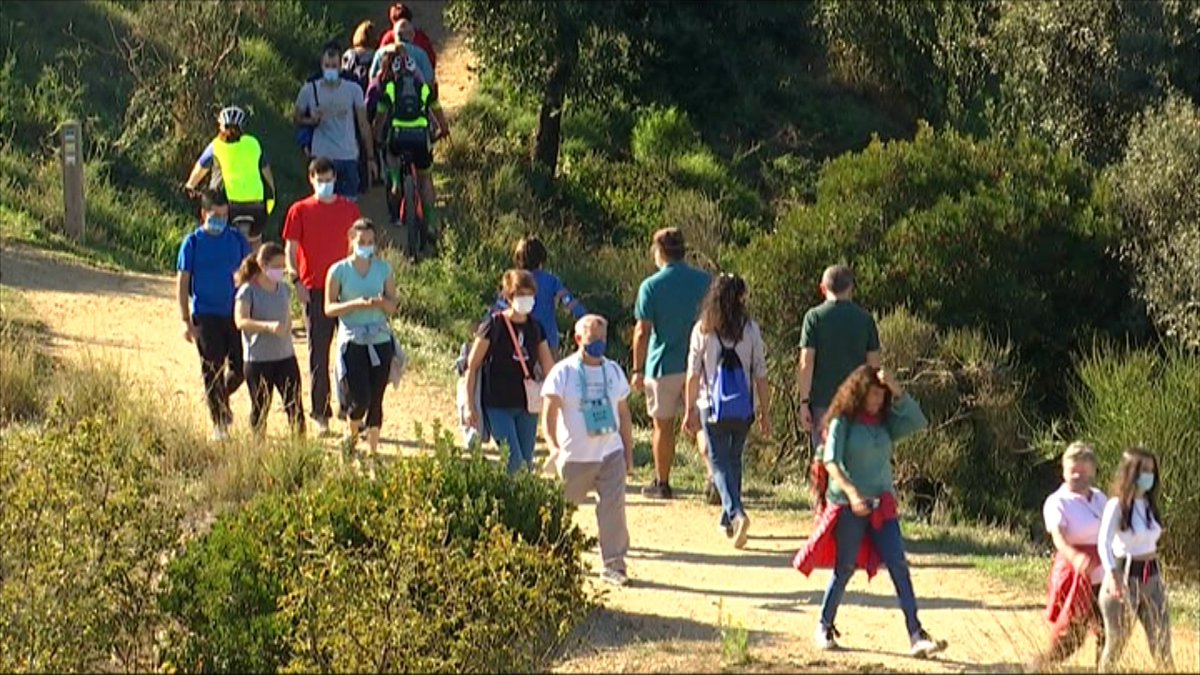 Josep Maria Mallarach tweet media