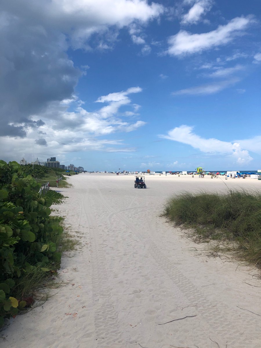 captparrot's tweet photo. @wpbf_sandra My kinda morning https://t.co/usFDvoXvVh