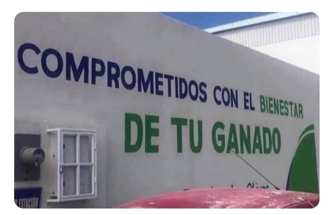 Nunca se habían preocupado tanto por mis morritas.