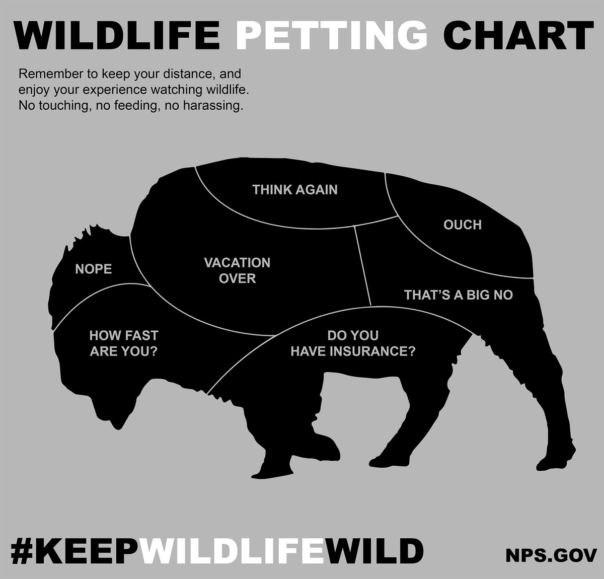 NatlParkService's tweet image. P.S. #NationalParkWeek is a great time to discover new things about parks.  Some things haven't changed, like needing to stay a safe distance from wildlife and always #RecreateResponsibly!