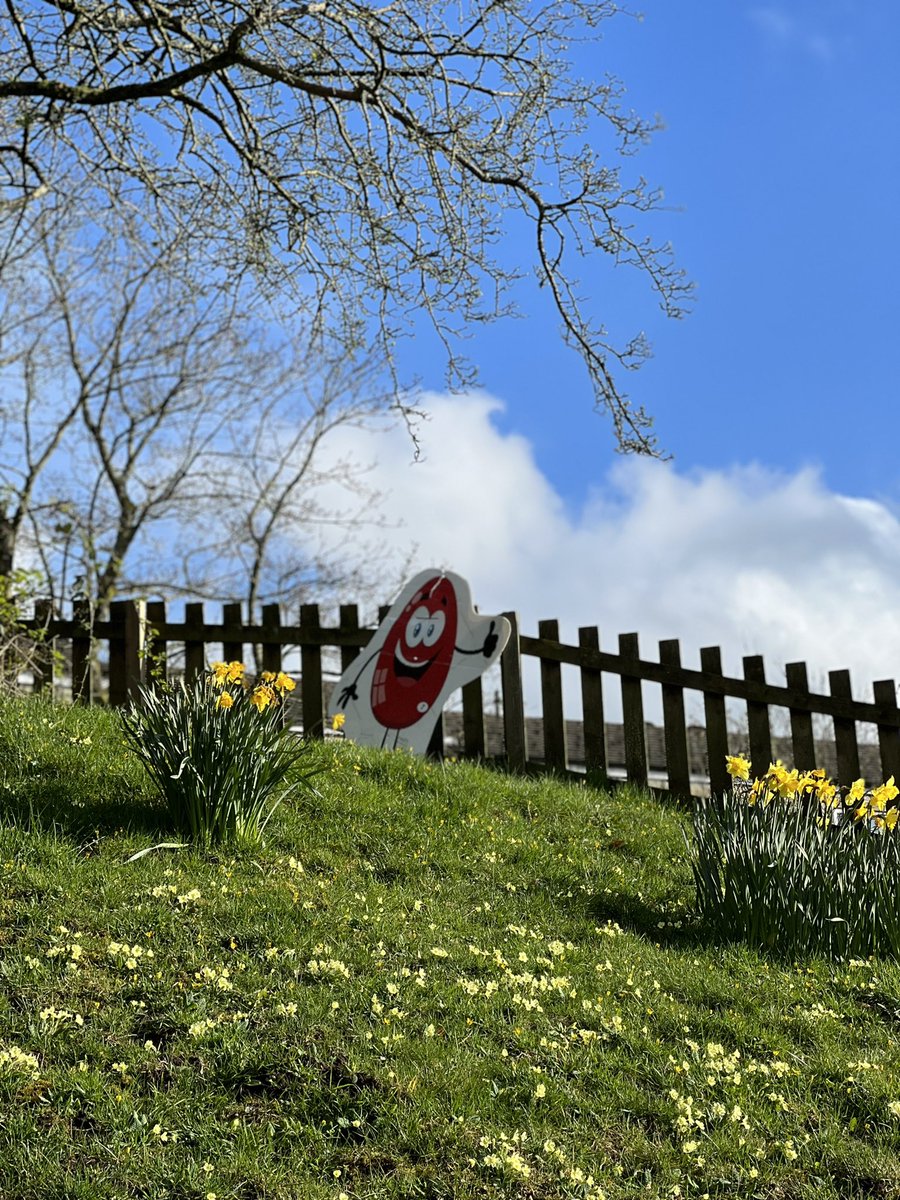IngletonBlog's tweet photo. The GREAT Ingleton Easter Egg Hunt is on - from 9th to 24th April! Get your hunt sheet from @Seasonsbakery π£ π« π₯ πͺΊ
Have fun! π #Easter2022 #EasterHolidays #EasterWeekend #WeLoveIngleton #northyorkshire https://t.co/STP7ks6u3N